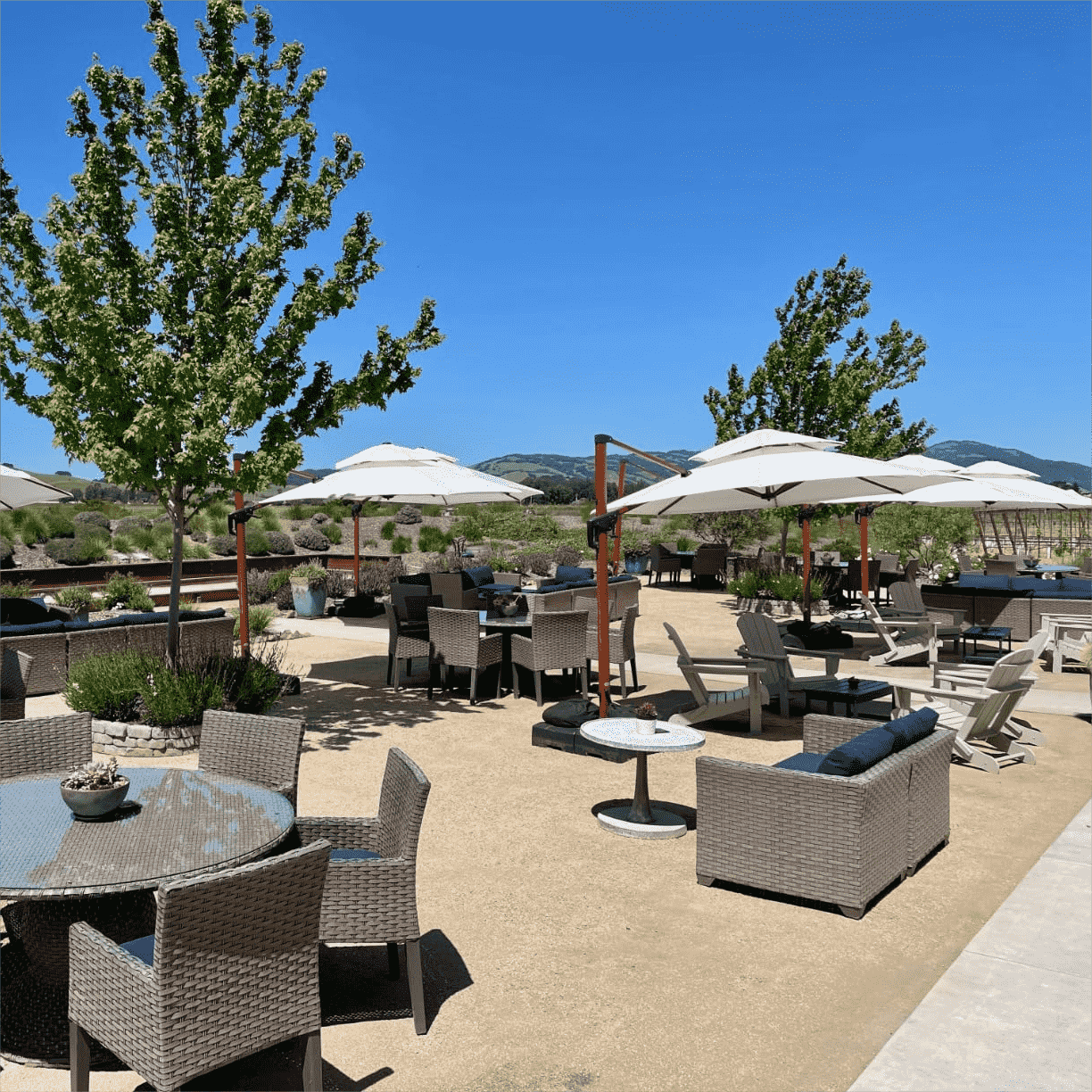 PURPLE LEAF Double Top 10 / 11 / 12 / 13 ft Round Aluminum Patio Umbrella in Wood Color - Image 21